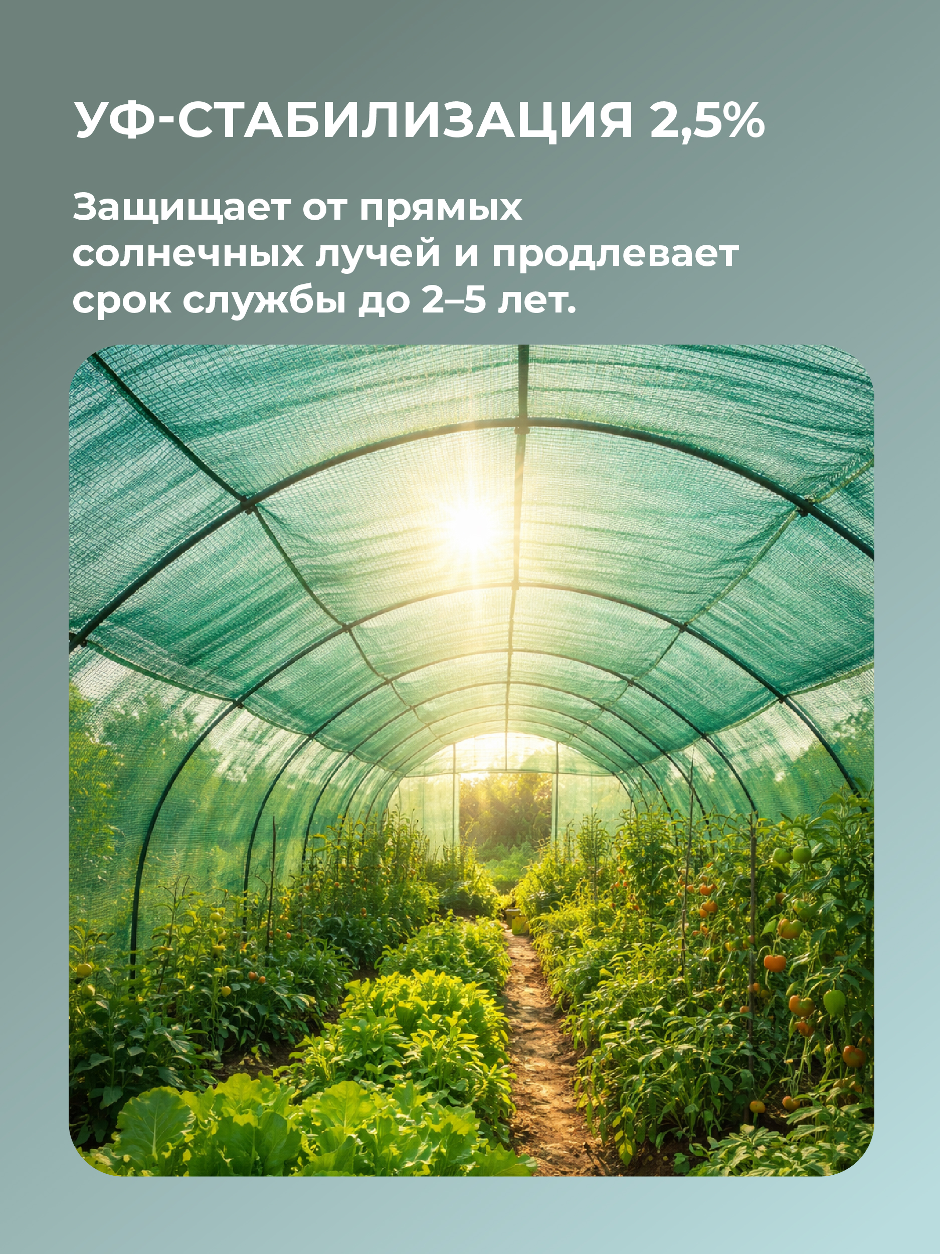 h0gf34aomh2rgpbgr9kug54wg34gq7p6 Сетка фасадная затеняющая TeaM зеленая 30-35% 6х100 м
